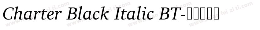 Charter Black Italic BT字体转换